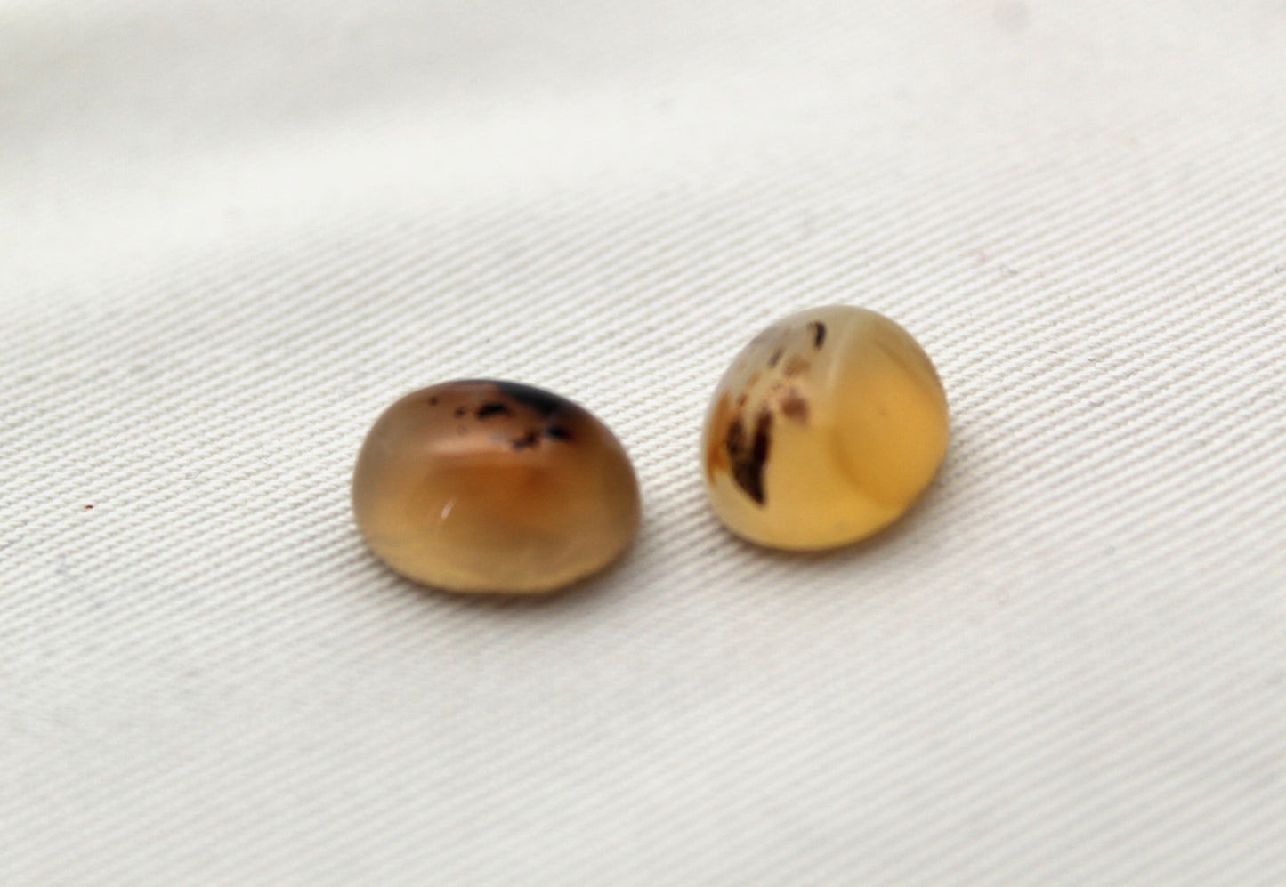 TWO Montana Agate Cabochon Oval gemstone 10X12MM