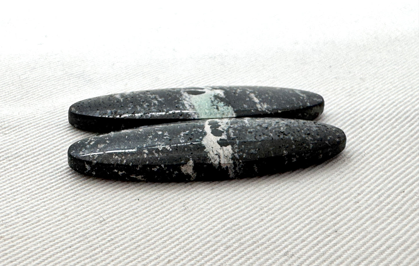 Pair of Petrified Wood Cabochons Oval