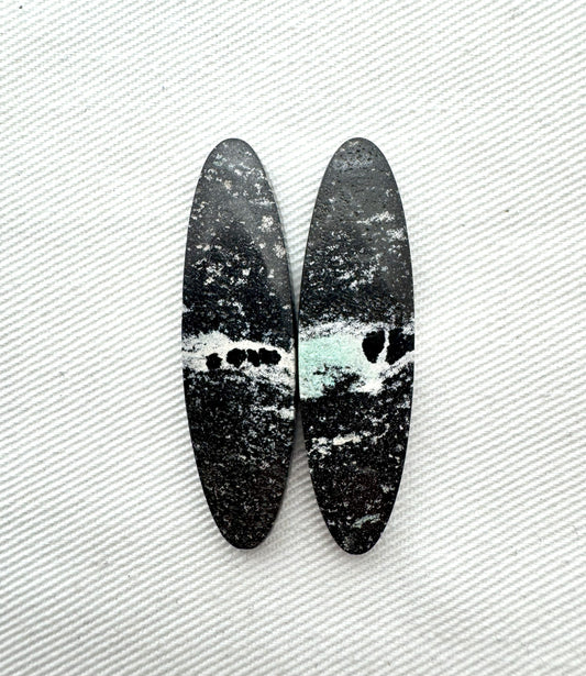 Pair of Petrified Wood Cabochons Oval