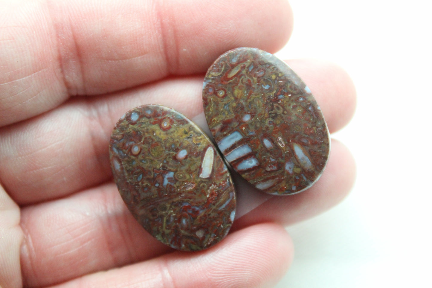 Stromatolite Cabochon Pair Gemstone red white Oval