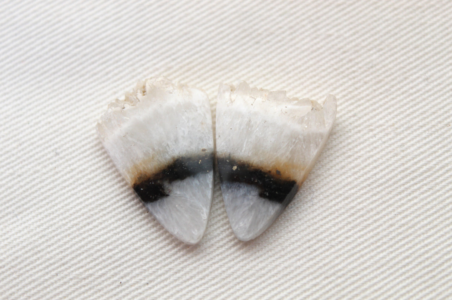 Crystal Zebra Cabochons Pair with Druzy Edges