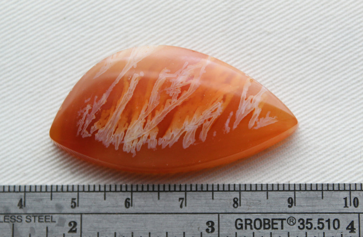 Indonesian Plume Agate Cabochon Gemstone orange