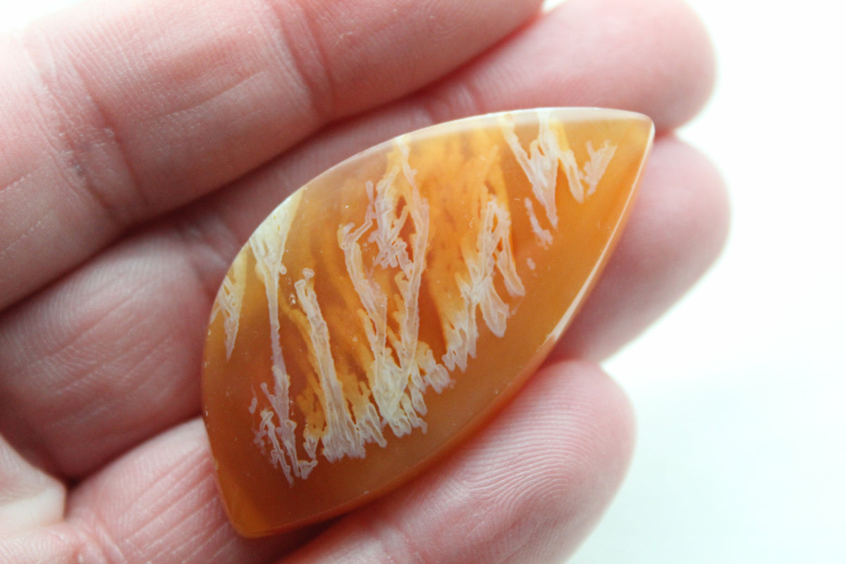 Indonesian Plume Agate Cabochon Gemstone orange
