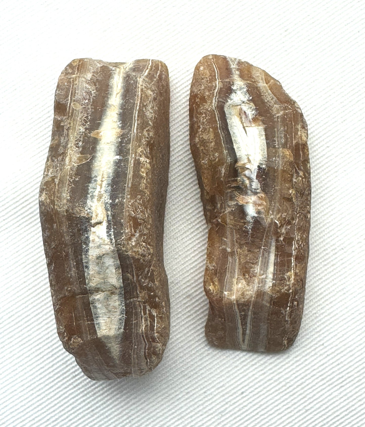Indonesian banded Agate nodule polished yellow