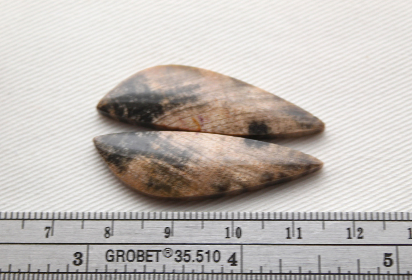 Nice pair of Petrified Wood Cabochons