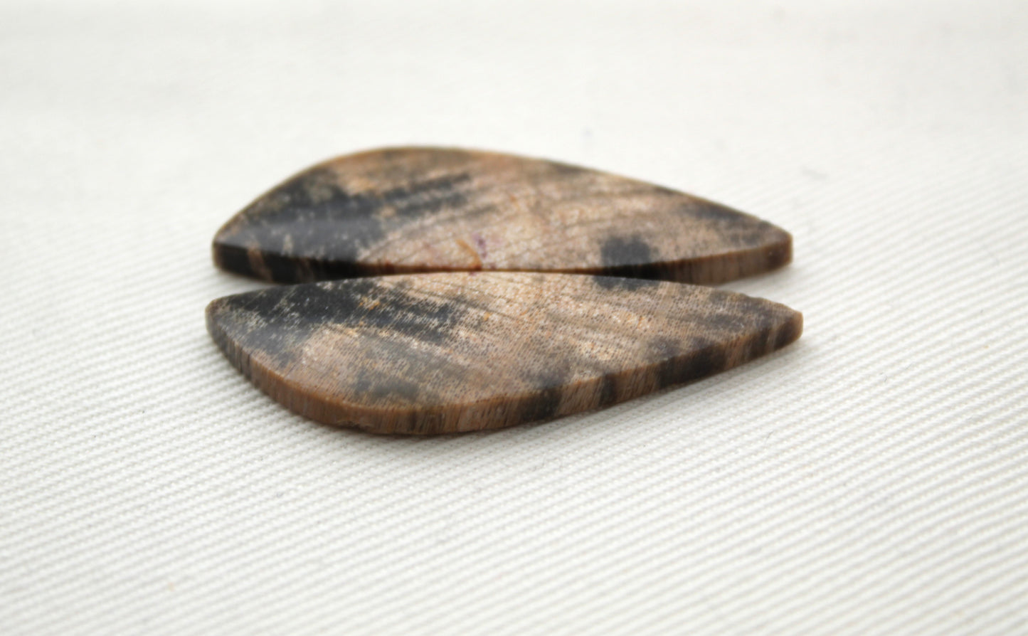 Nice pair of Petrified Wood Cabochons