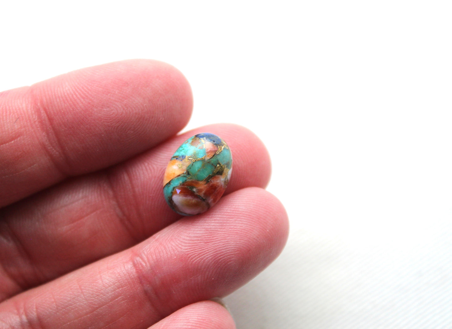 TWO Oval Compressed Turquoise lapis spiny oyster Cabochons 14X10MM