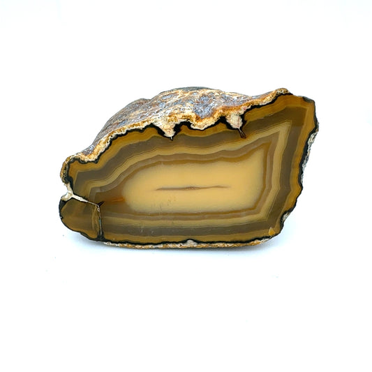 Indonesian banded Agate half nodule polished