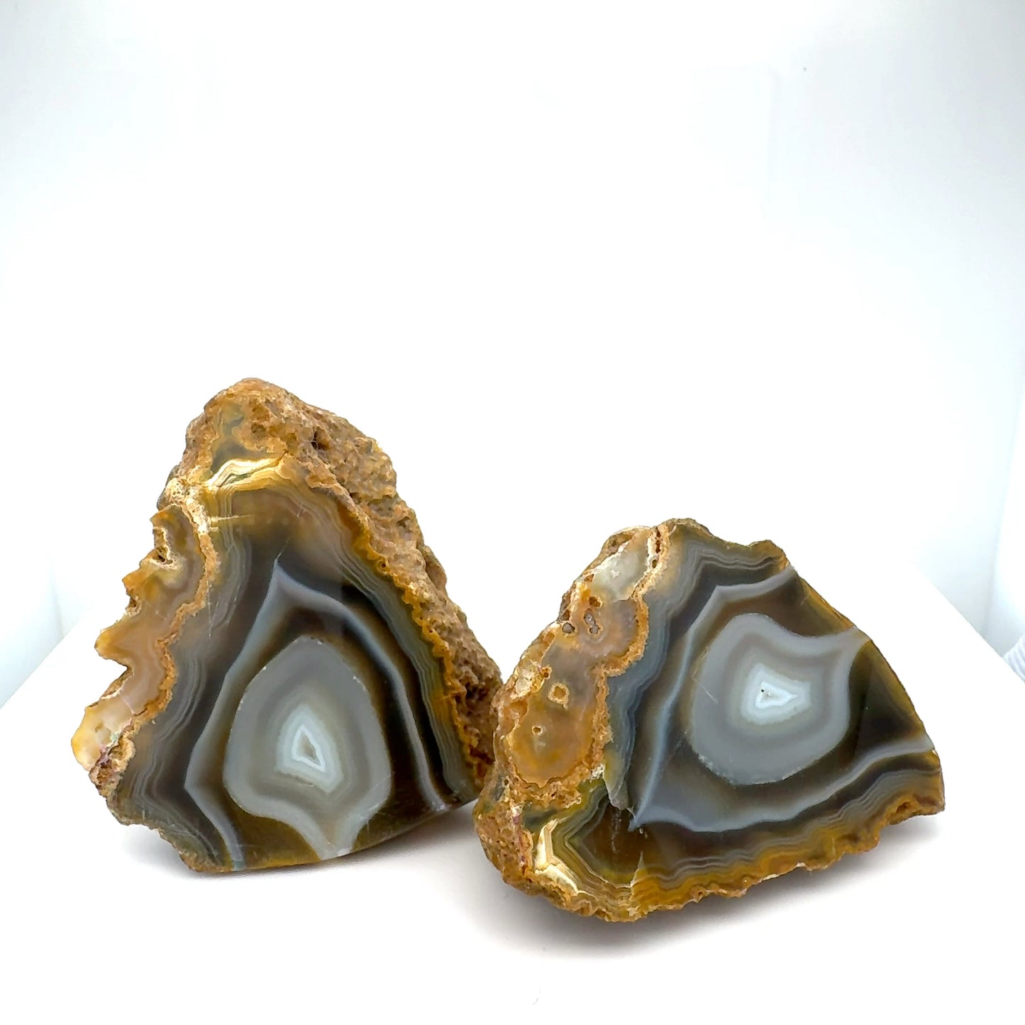 Indonesian banded Agate nodule polished