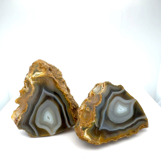 Indonesian banded Agate nodule polished
