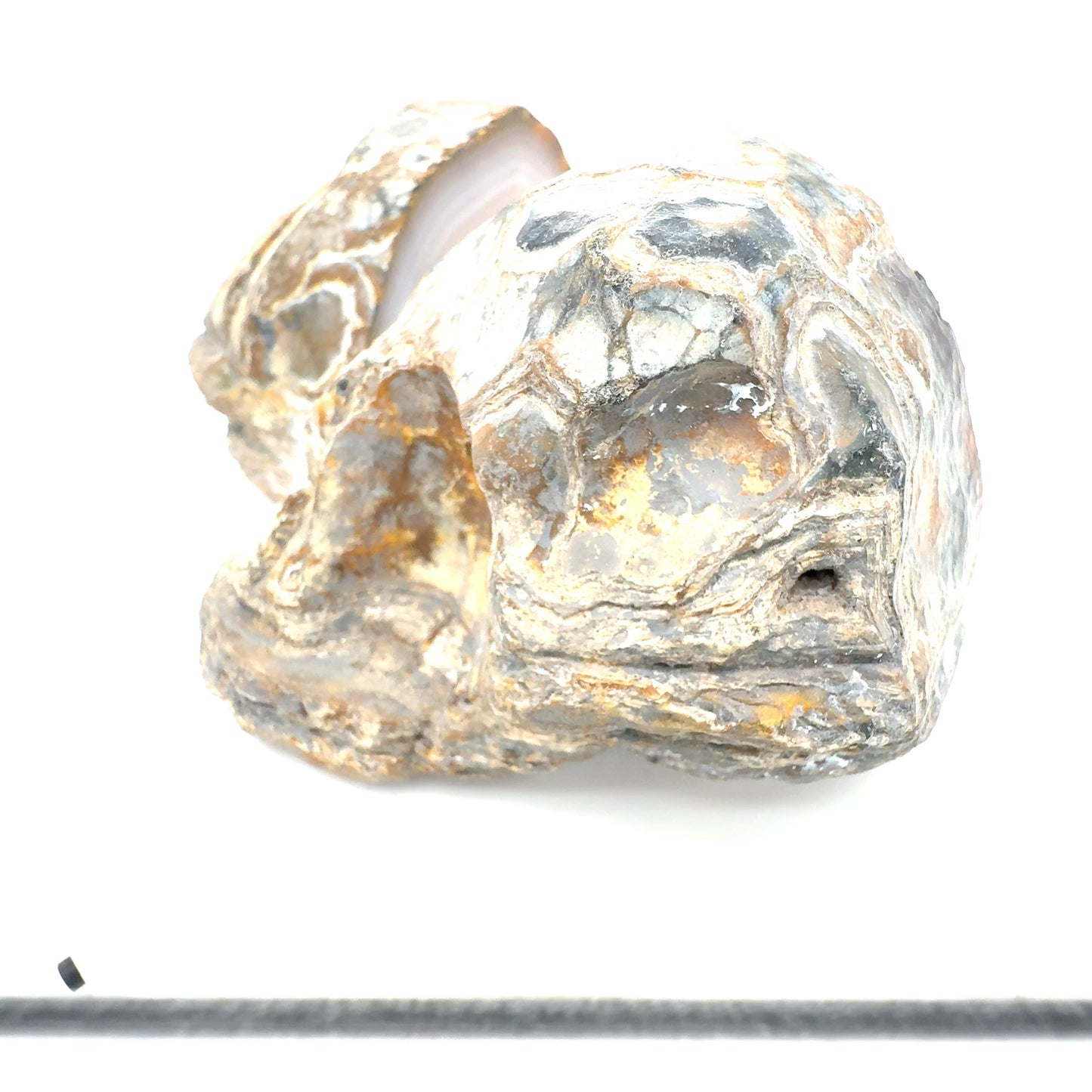 Indonesian banded Agate nodule polished