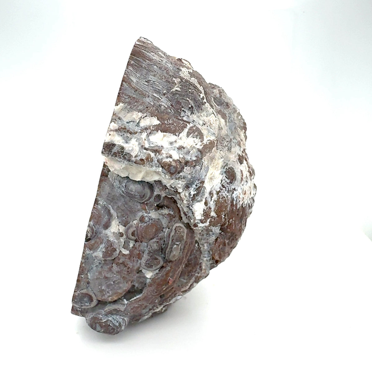 Thunder egg fluorescent Nodule polished Half nodule