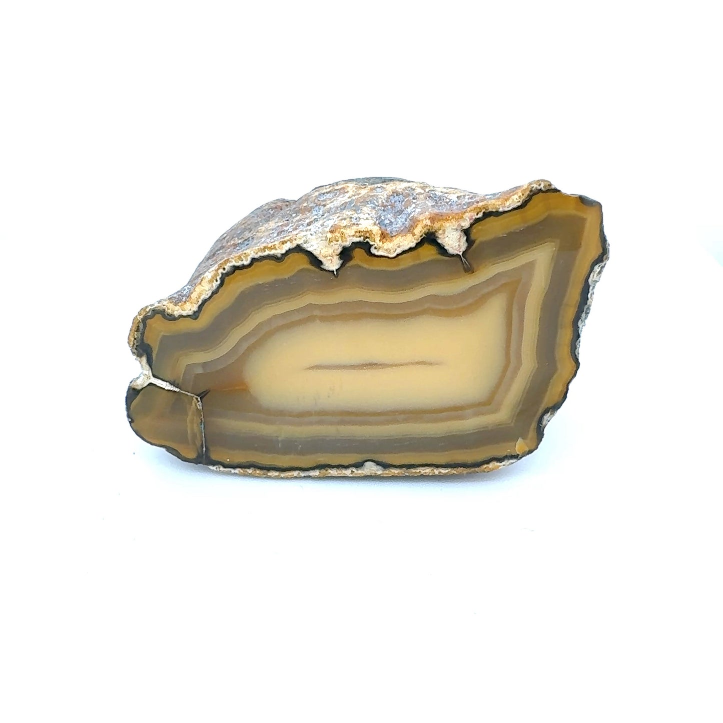 Indonesian banded Agate half nodule polished