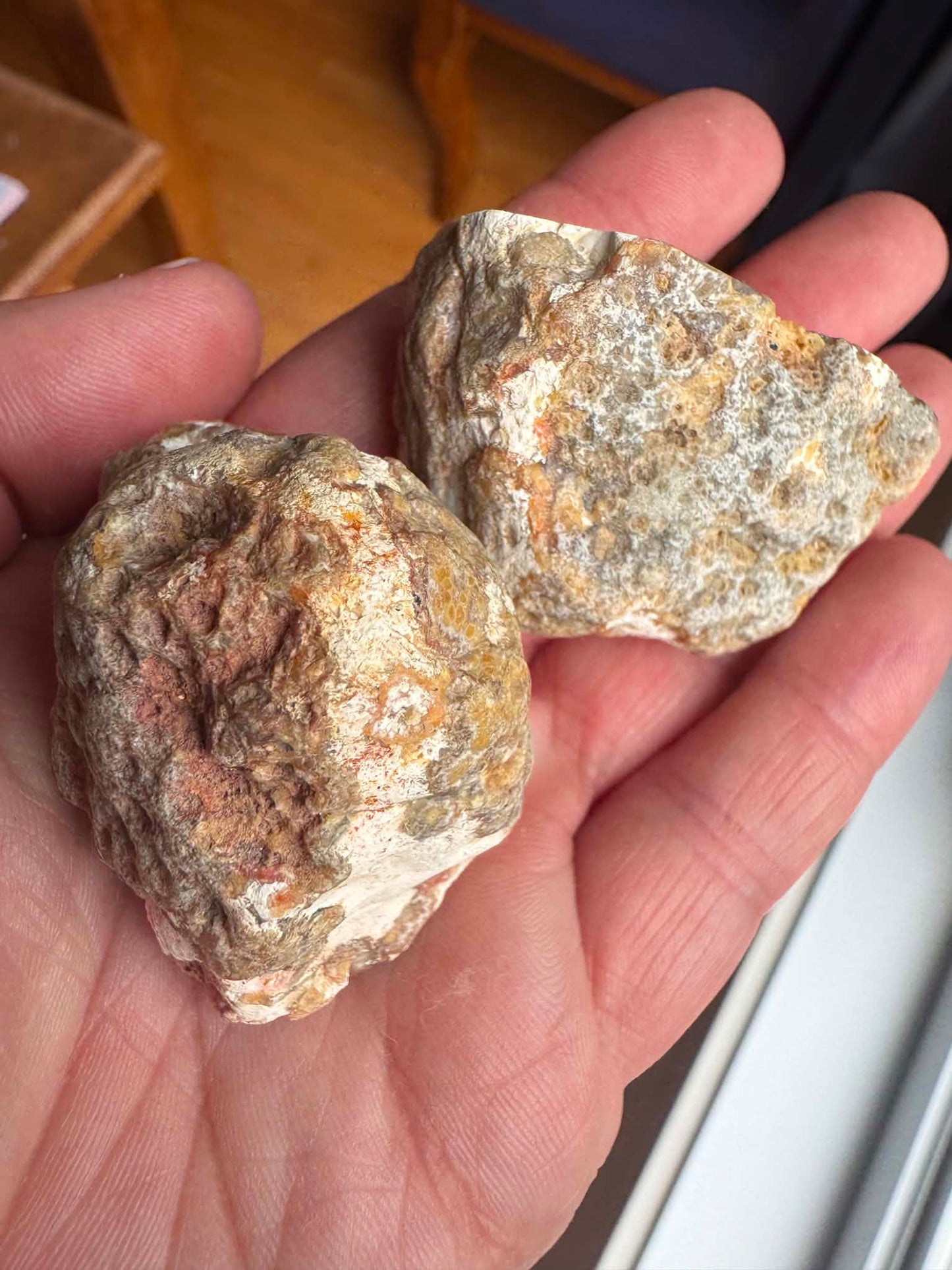 Indonesian Agate nodule polished sliced