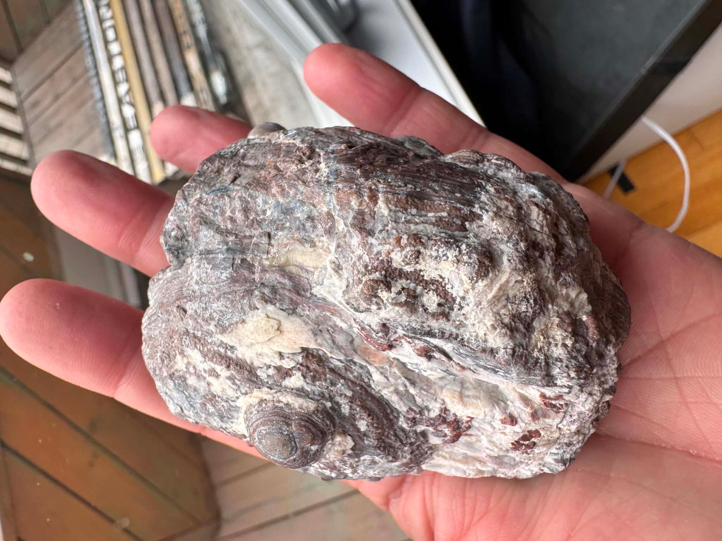 Thunder egg fluorescent Nodule polished Half nodule