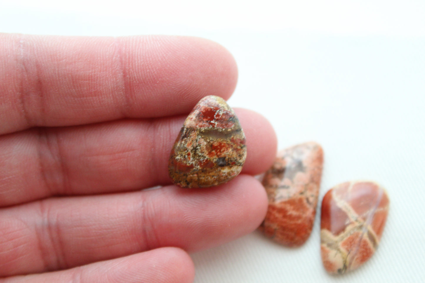 THREE Brecciated Jasper freeform cabochons Gemstone orange