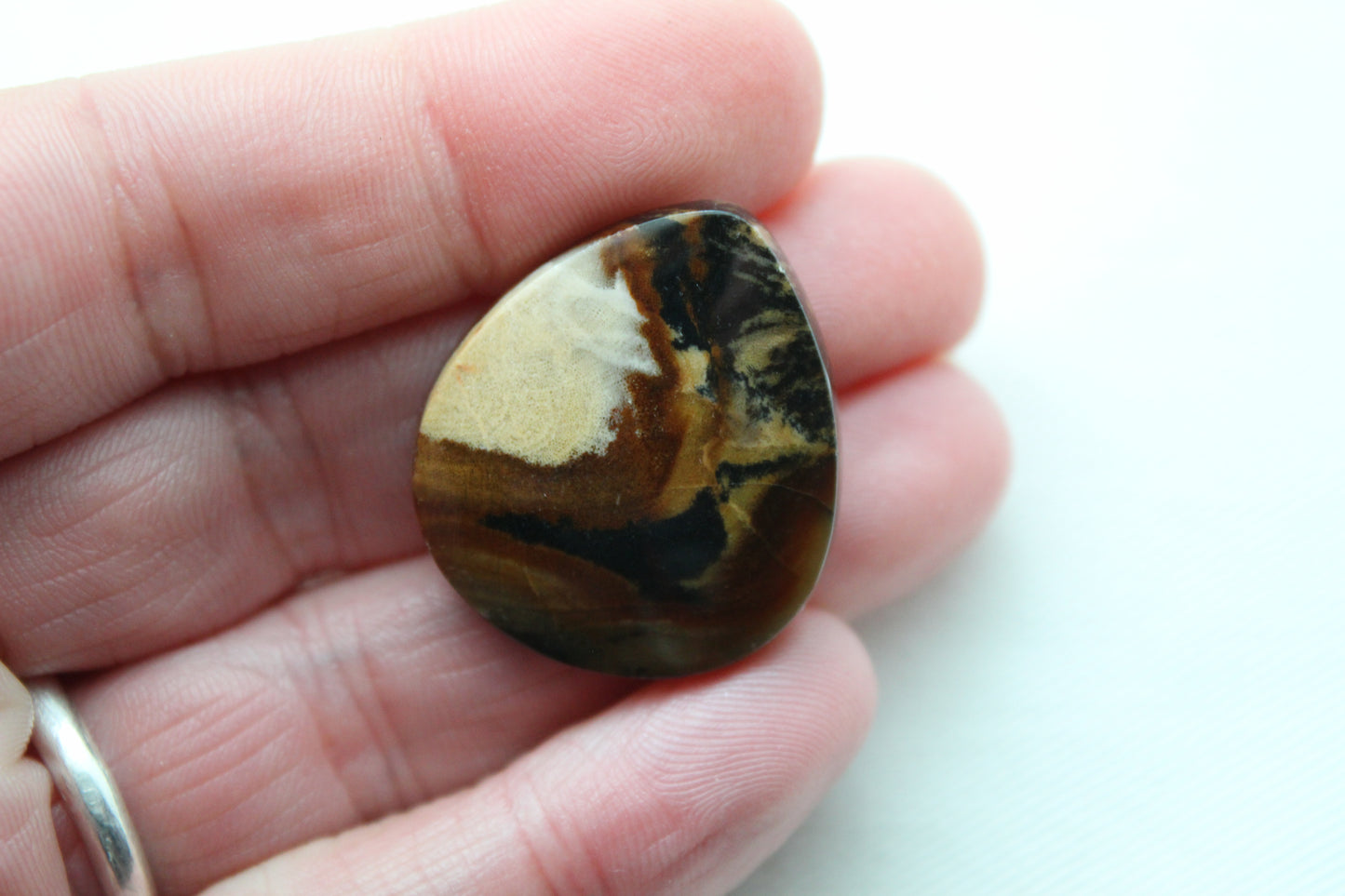 Petrified Wood Gemstone Cabochon