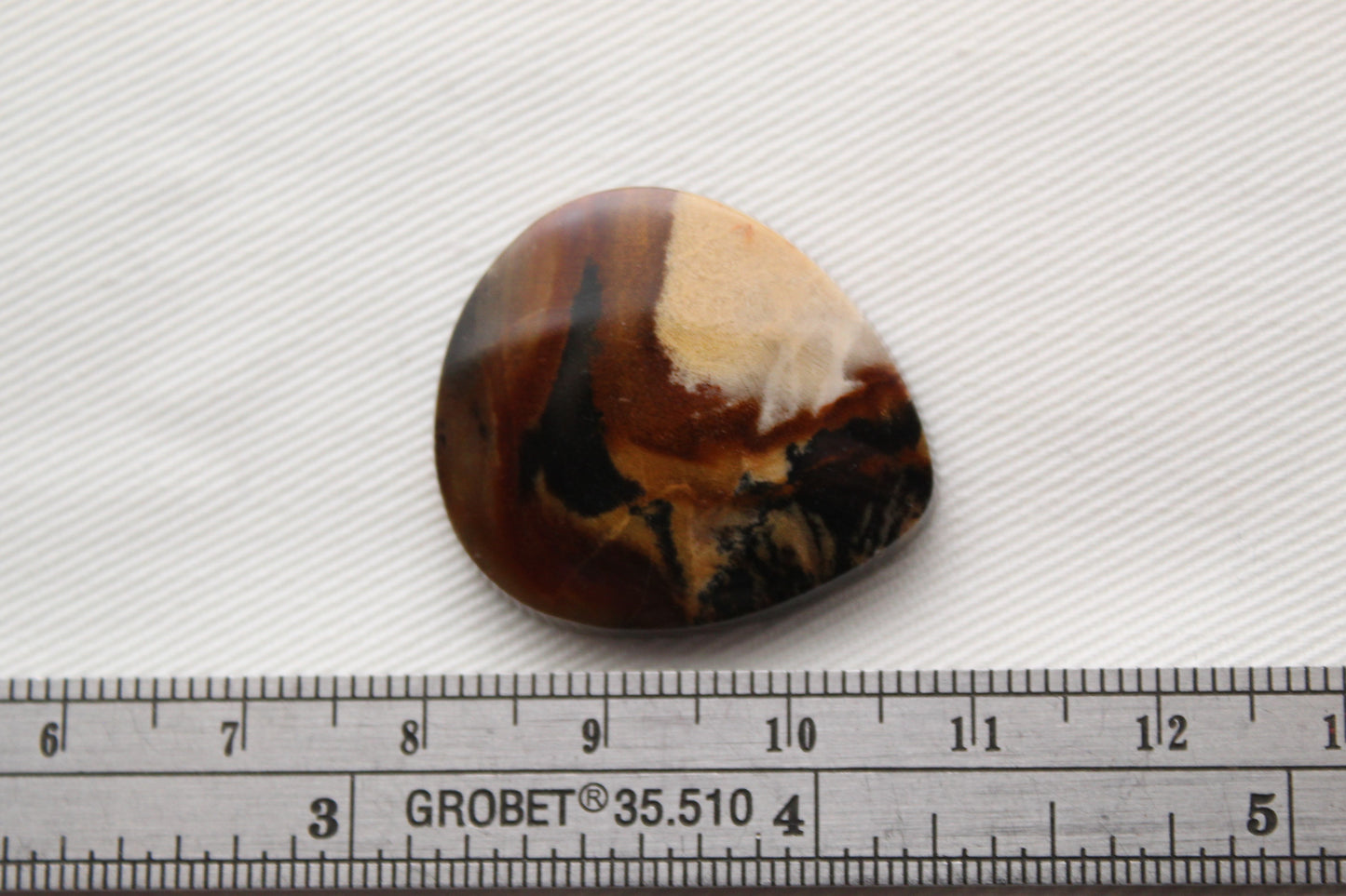 Petrified Wood Gemstone Cabochon