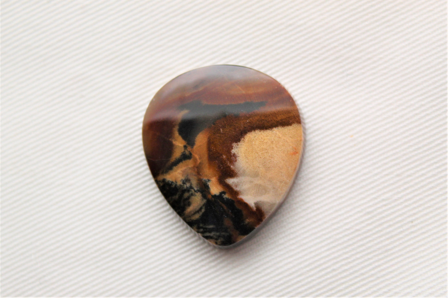 Petrified Wood Gemstone Cabochon