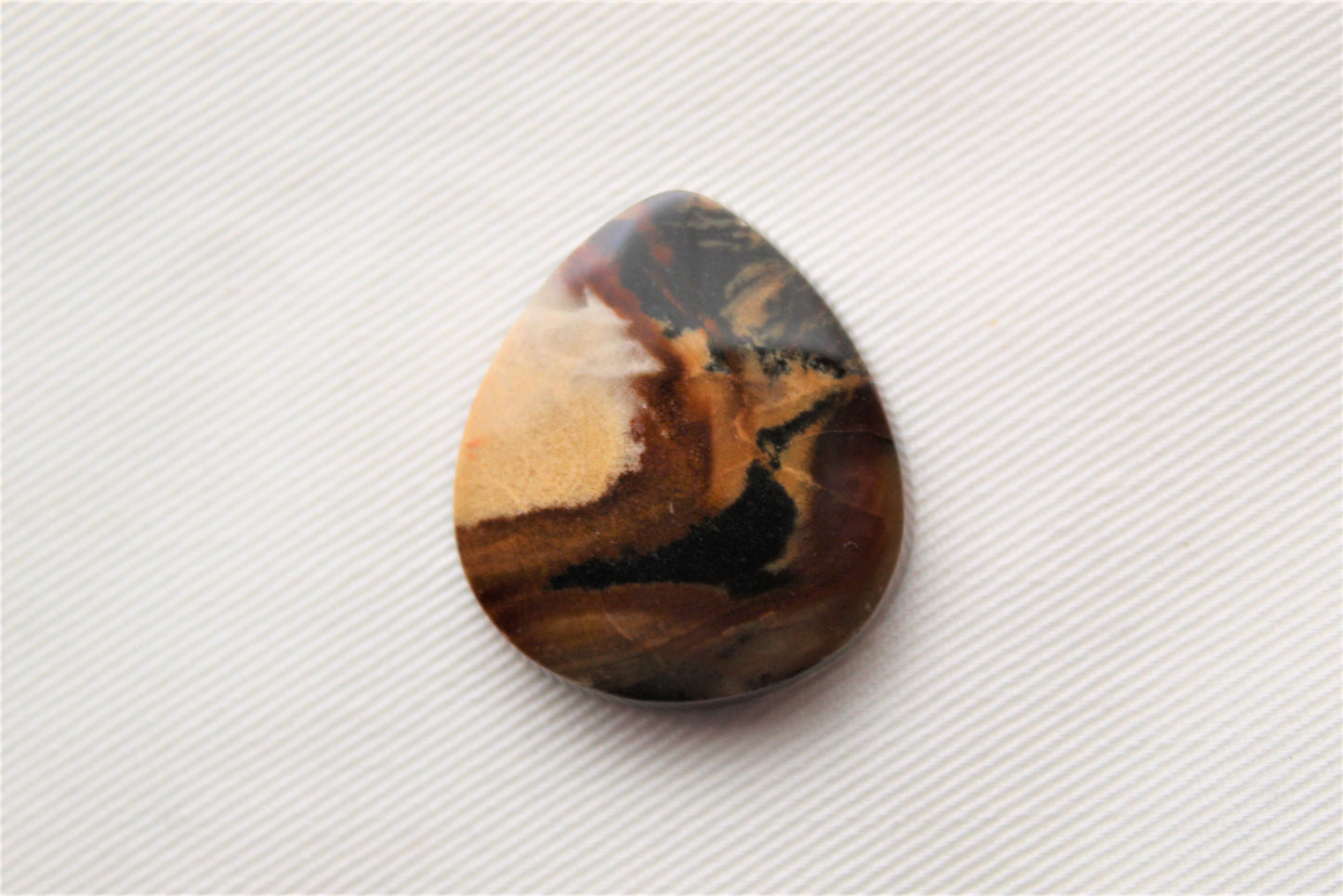 Petrified Wood Gemstone Cabochon