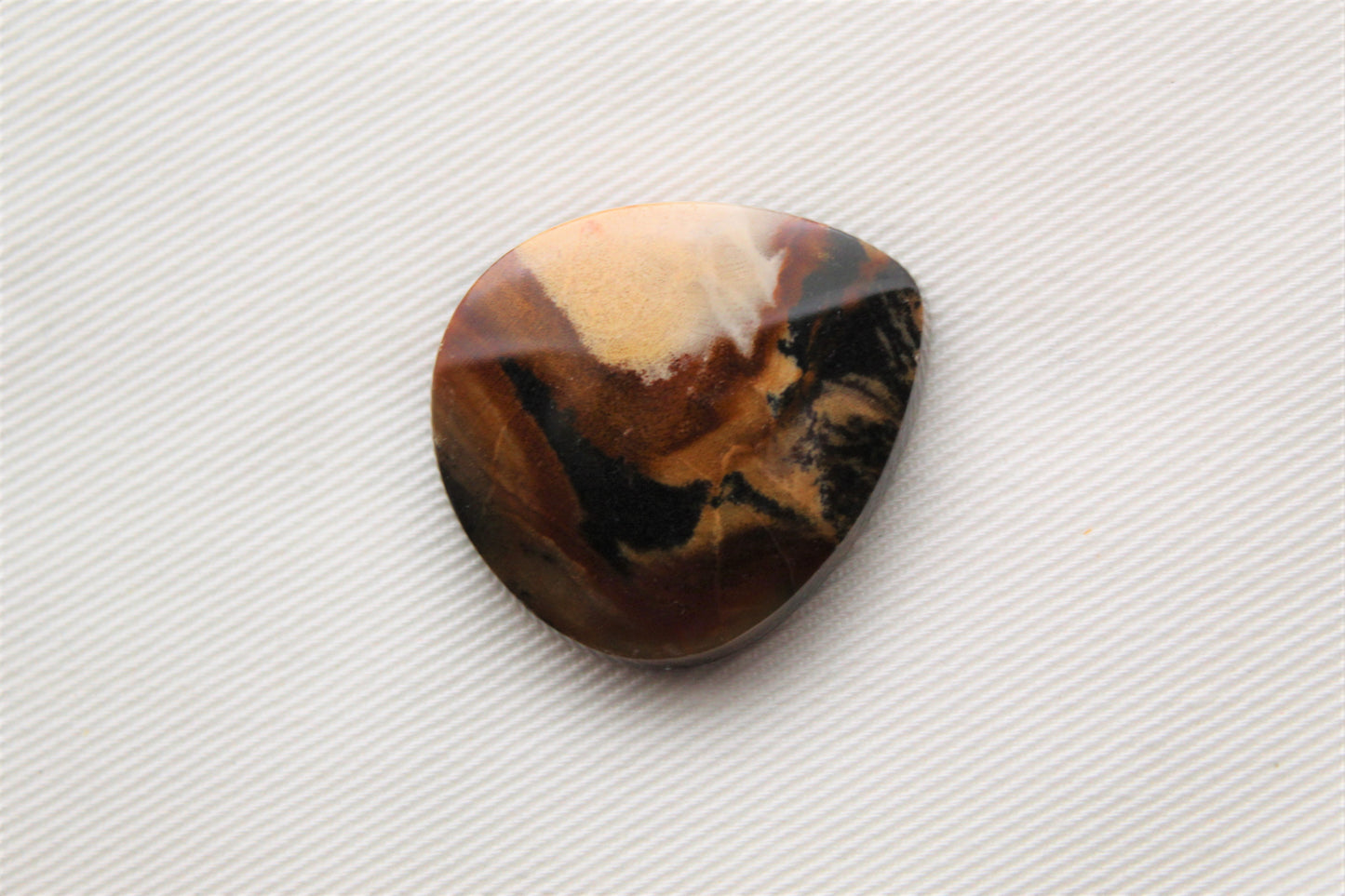 Petrified Wood Gemstone Cabochon