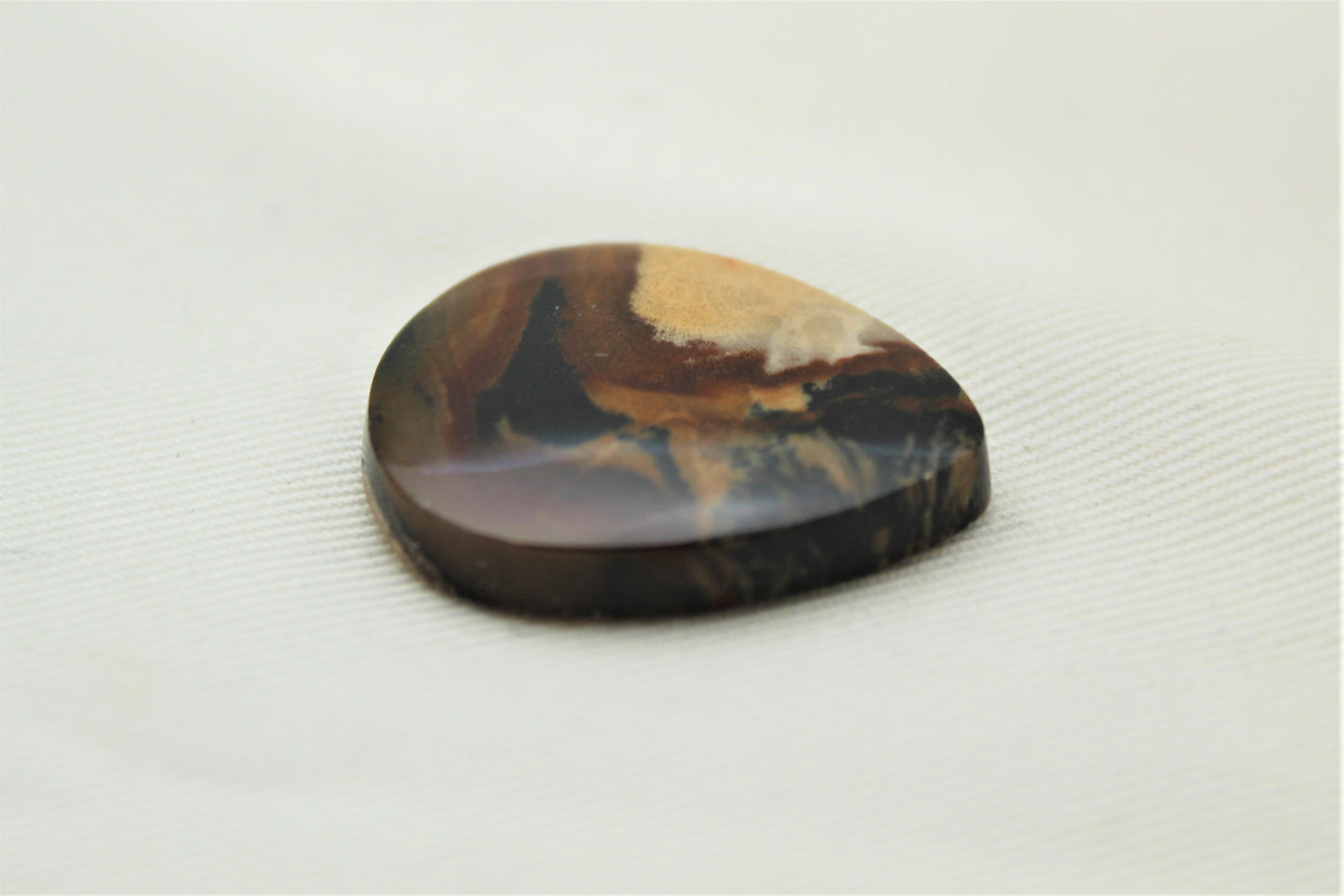 Petrified Wood Gemstone Cabochon