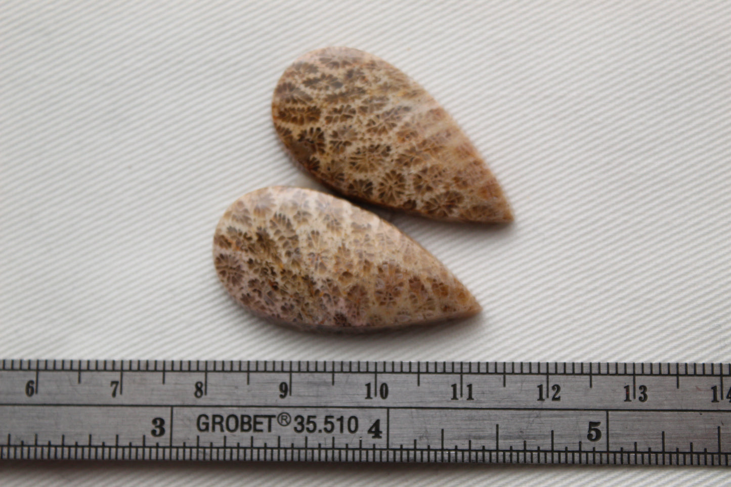 Fossilized Coral Pair of Gemstones cabochon beige natural