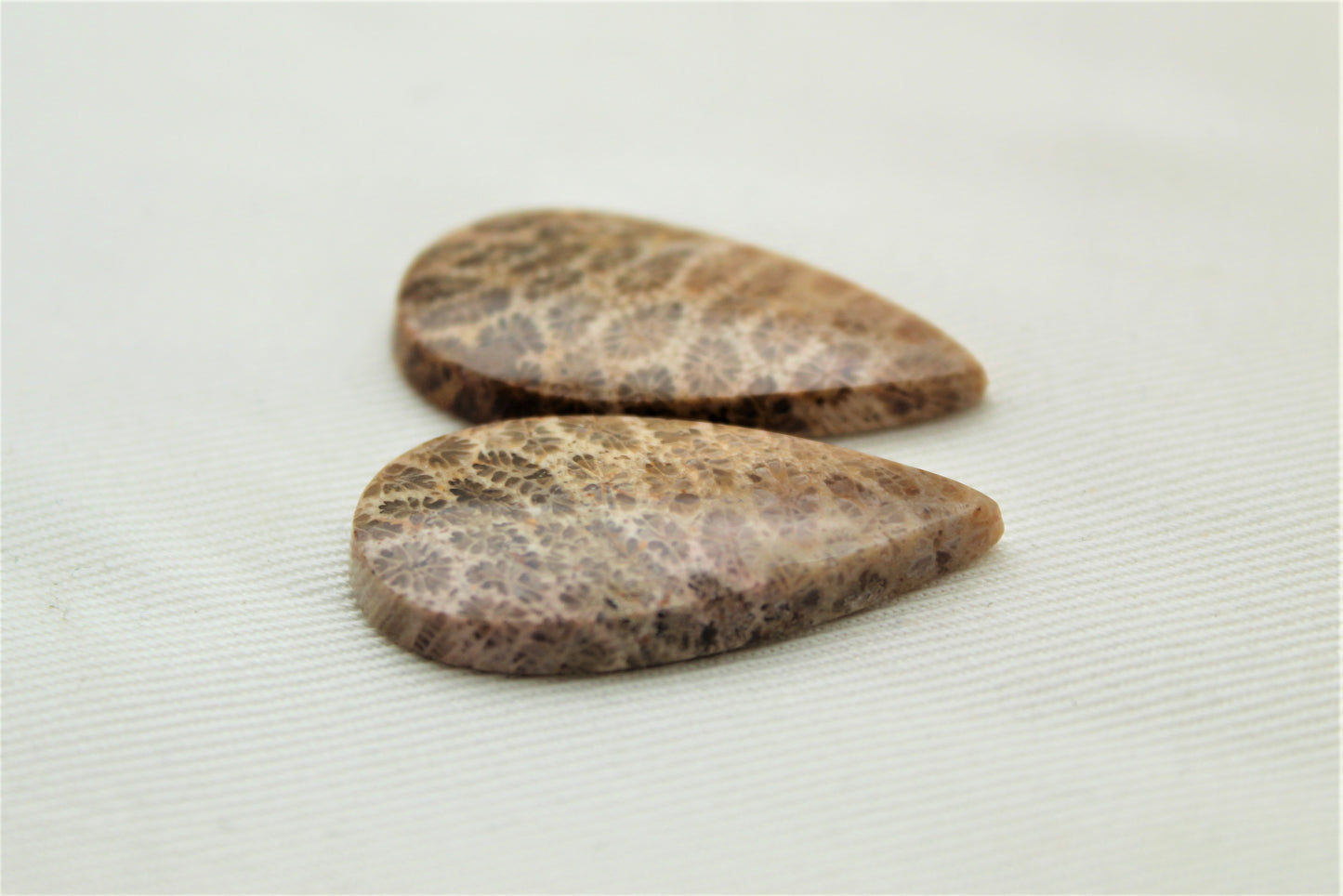 Fossilized Coral Pair of Gemstones cabochon beige natural