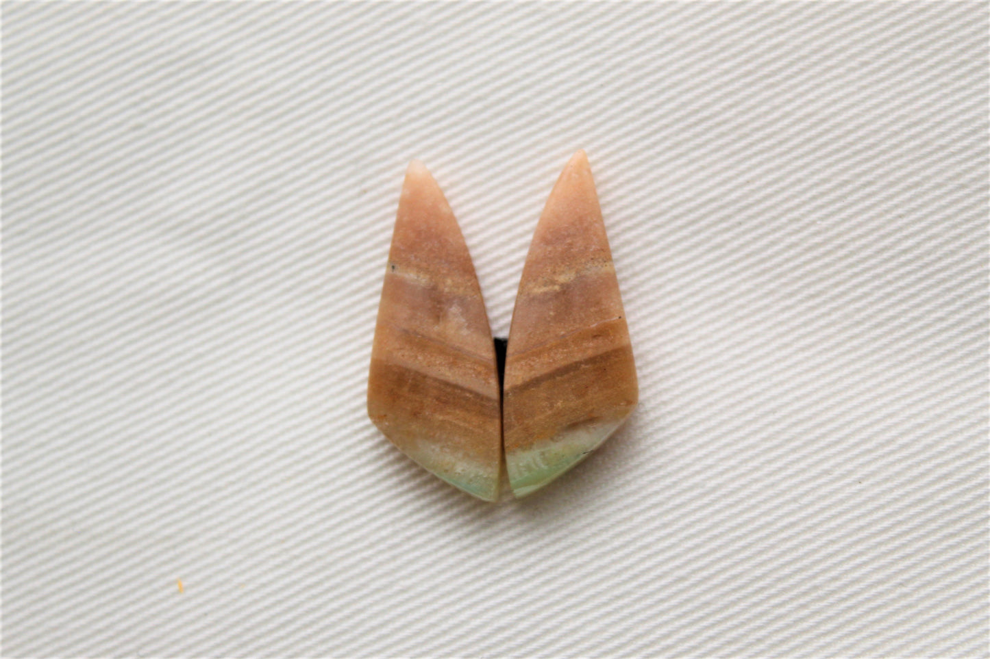 Small Opalized Petrified Wood Cabochon Pair