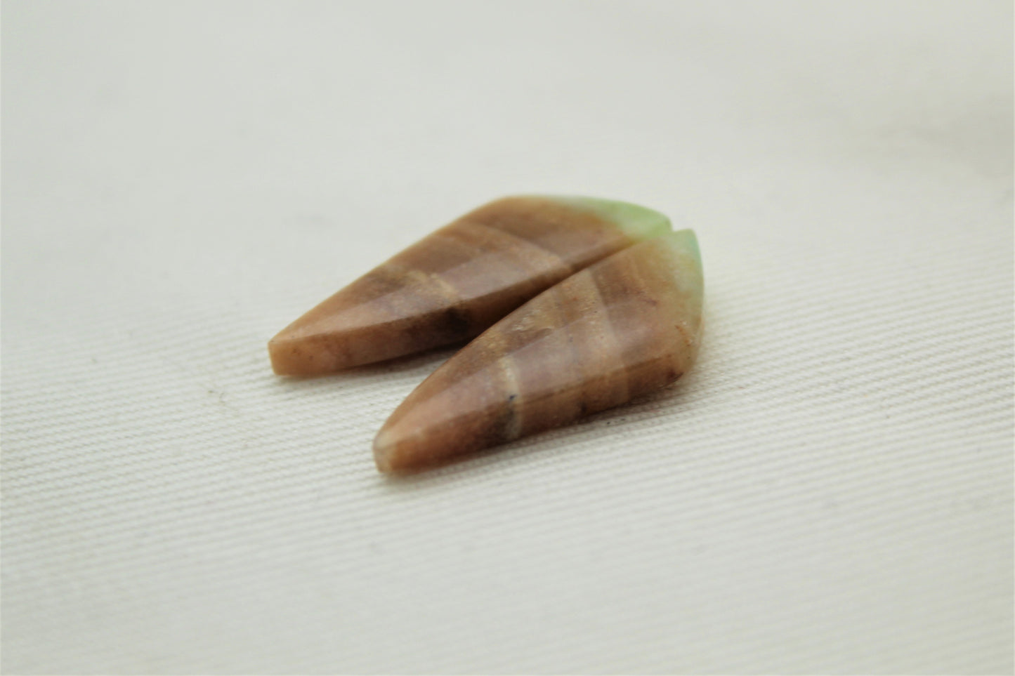 Small Opalized Petrified Wood Cabochon Pair