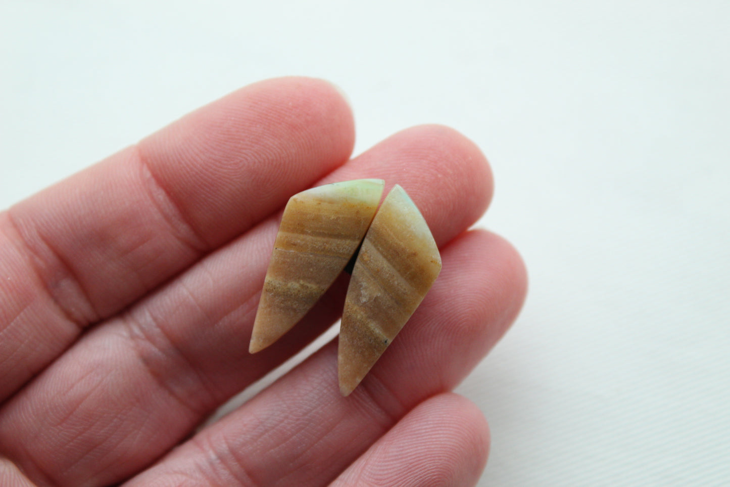 Small Opalized Petrified Wood Cabochon Pair