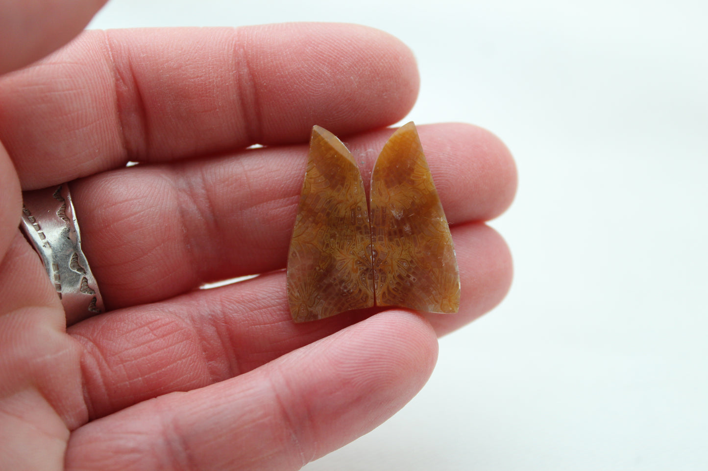 Fossilized Coral Pair of Gemstones lace patterns