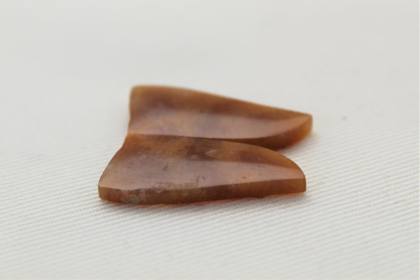 Fossilized Coral Pair of Gemstones lace patterns