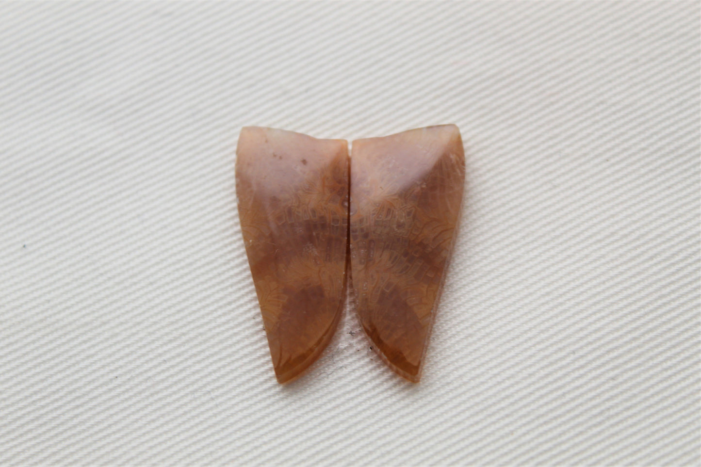 Fossilized Coral Pair of Gemstones lace patterns