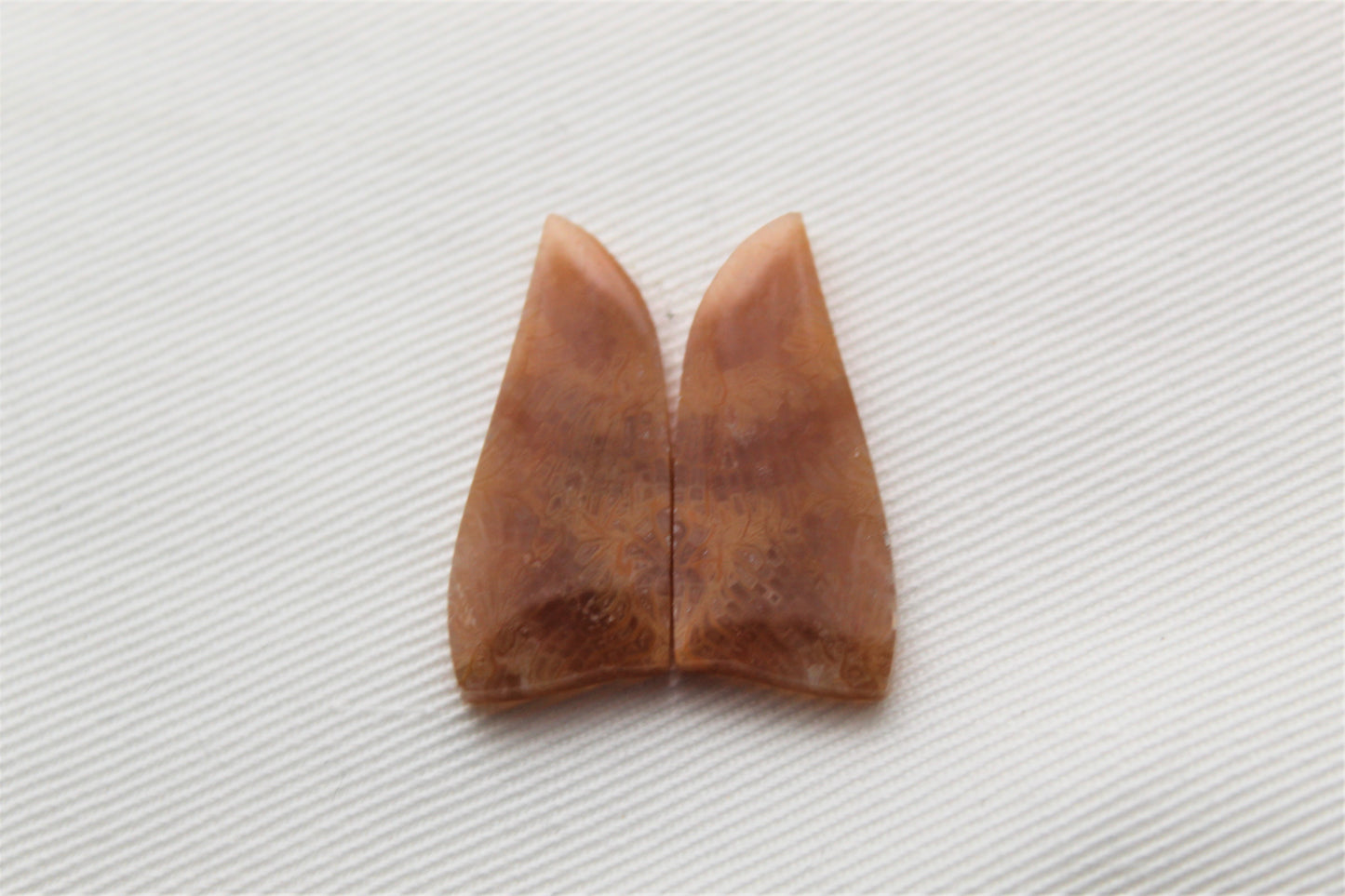 Fossilized Coral Pair of Gemstones lace patterns