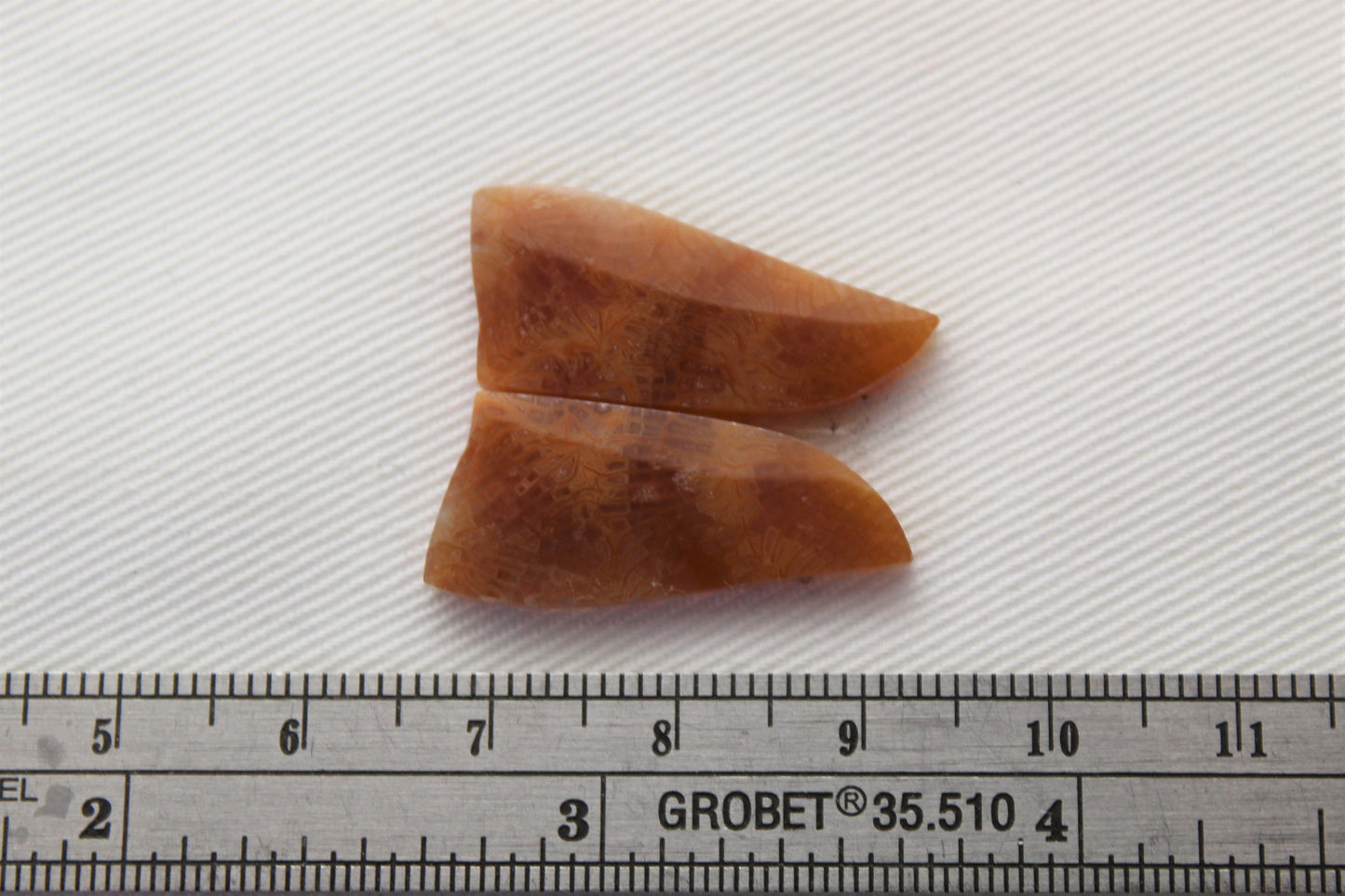 Fossilized Coral Pair of Gemstones lace patterns