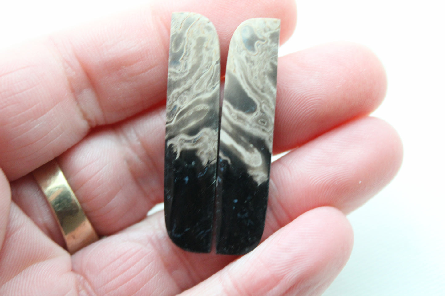 Long Petrified Palm Wood Cabochon Pair