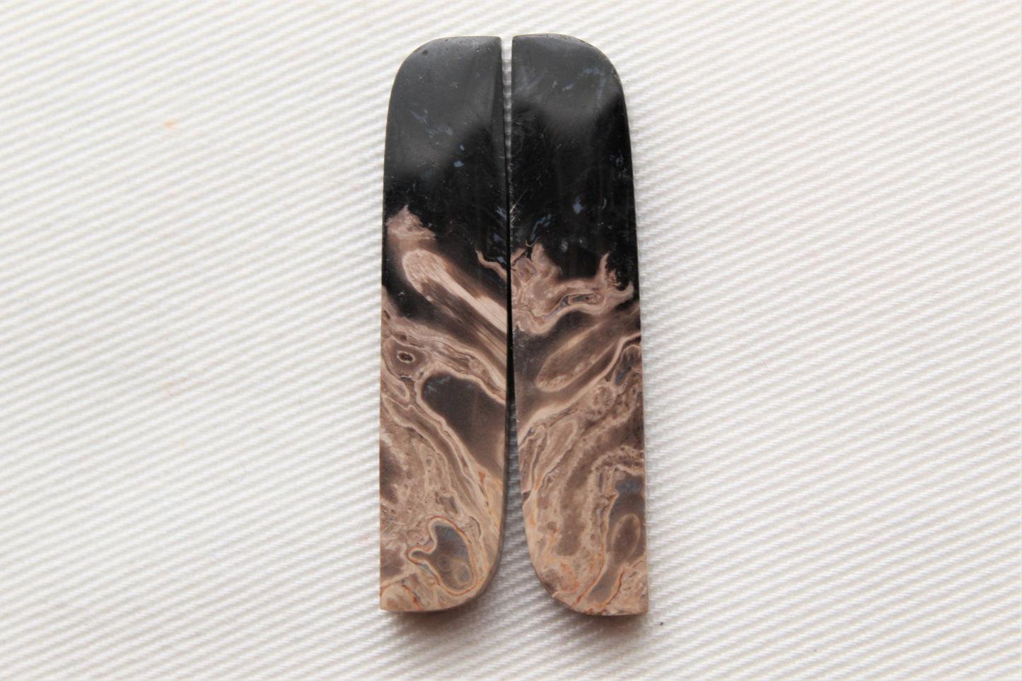 Long Petrified Palm Wood Cabochon Pair