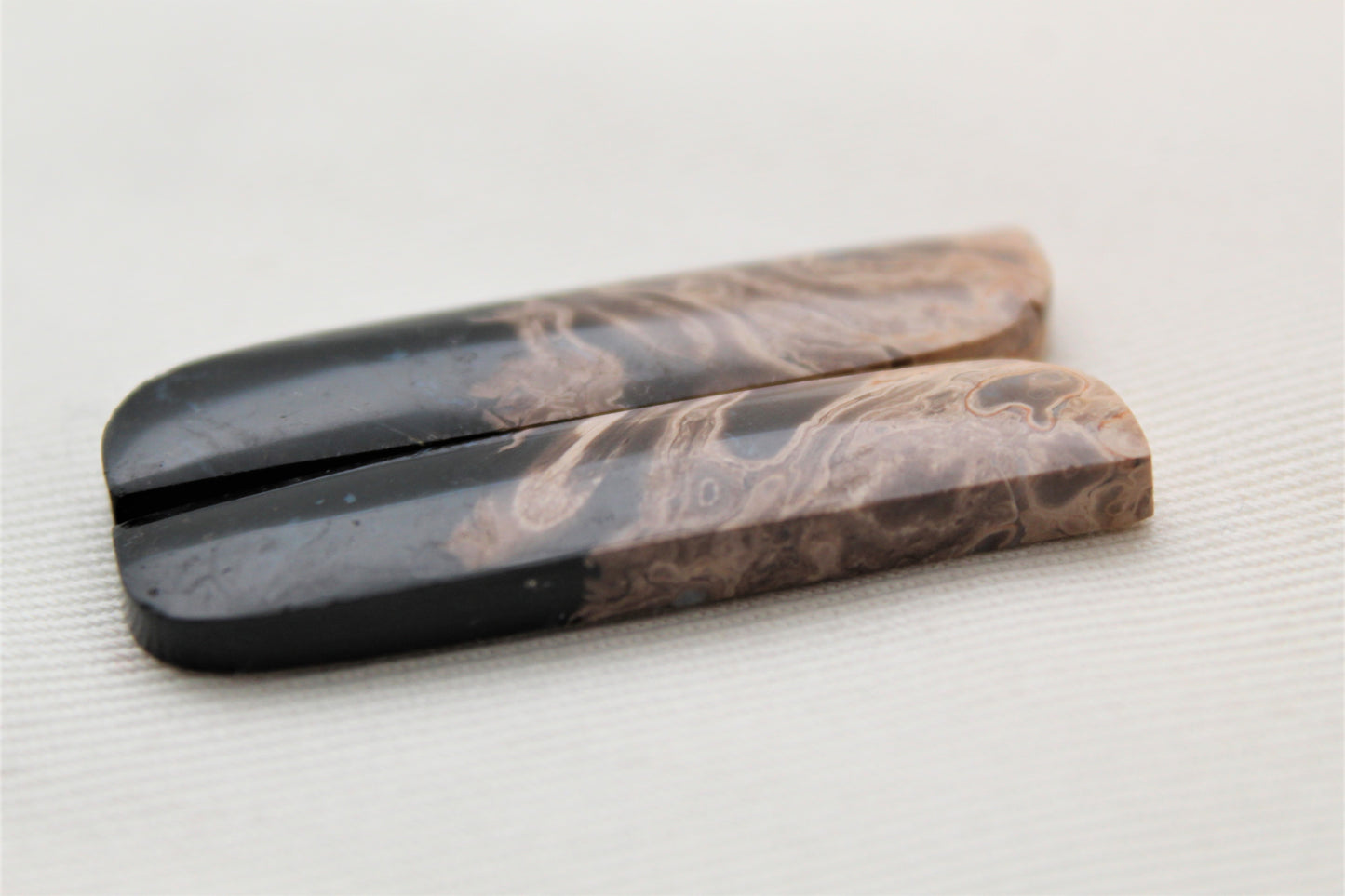 Long Petrified Palm Wood Cabochon Pair