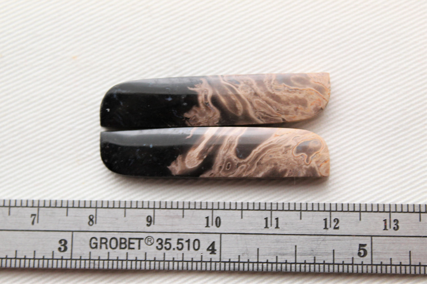 Long Petrified Palm Wood Cabochon Pair