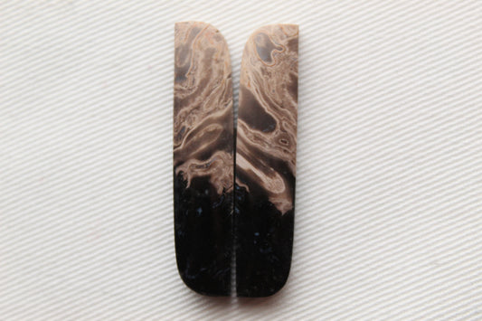 Long Petrified Palm Wood Cabochon Pair