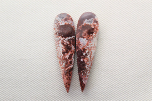 Nice pair of Petrified Wood Cisero Cabochons teardrop