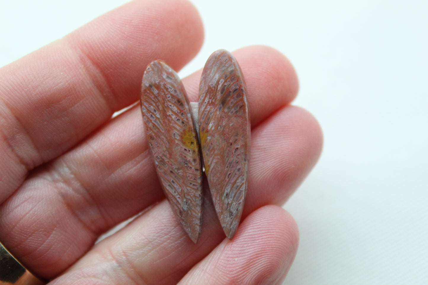 Pink Fossil Coral Pair of Gemstones cabochon