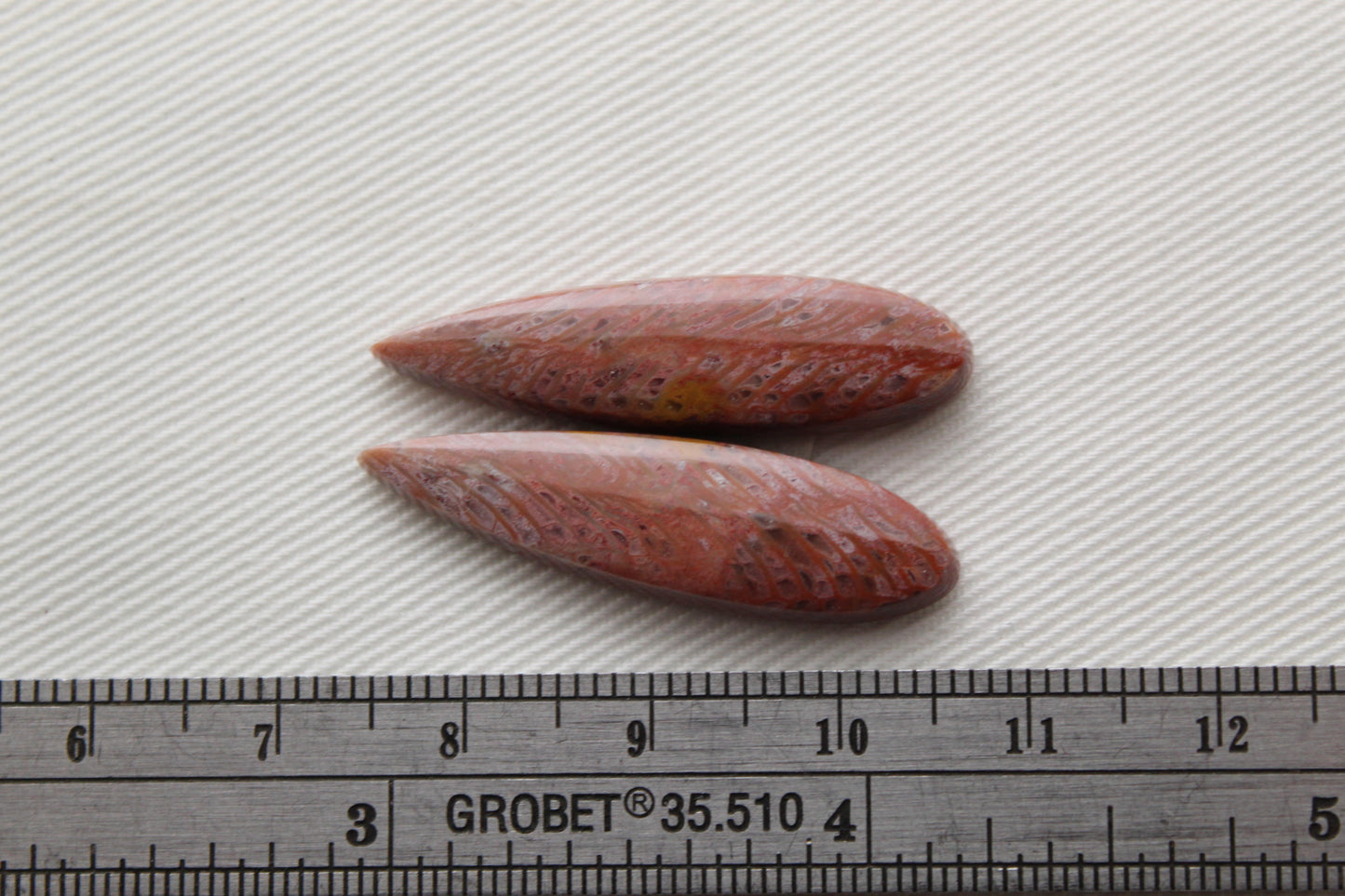 Pink Fossil Coral Pair of Gemstones cabochon