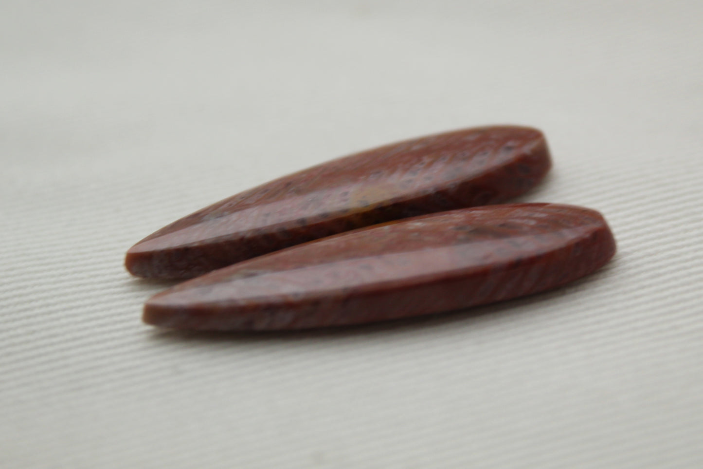 Pink Fossil Coral Pair of Gemstones cabochon