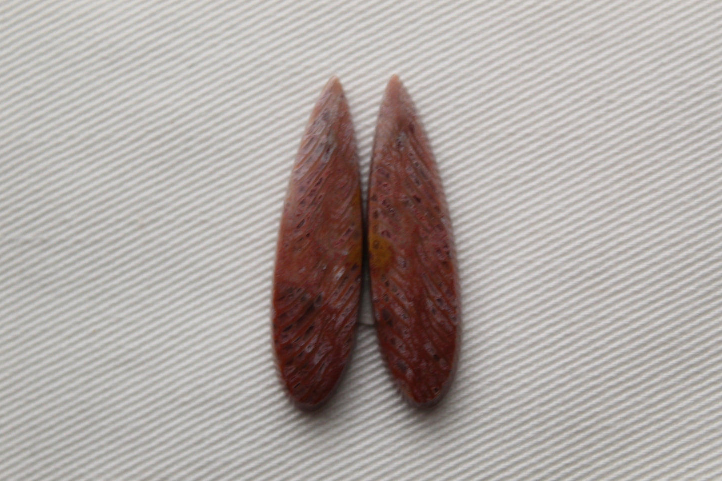 Pink Fossil Coral Pair of Gemstones cabochon