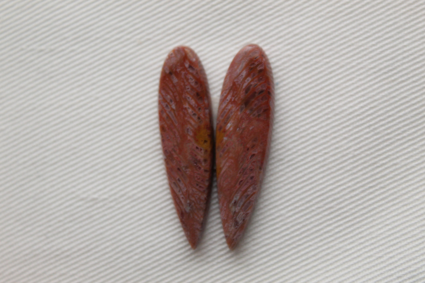 Pink Fossil Coral Pair of Gemstones cabochon