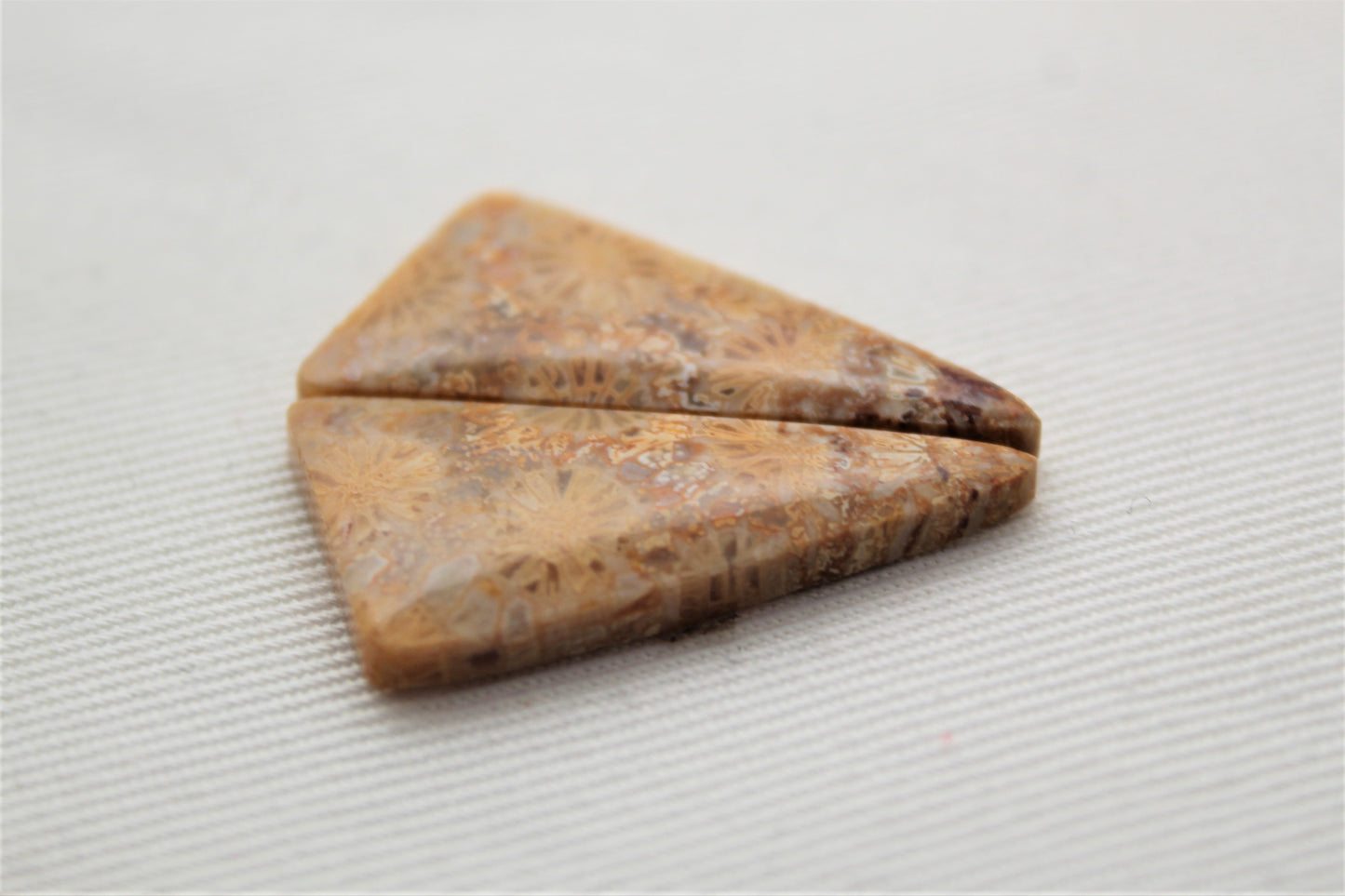 Fossilized Coral Pair of Gemstones cabochon beige natural