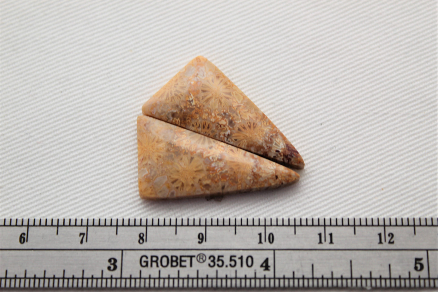 Fossilized Coral Pair of Gemstones cabochon beige natural