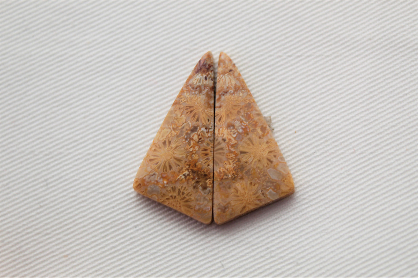 Fossilized Coral Pair of Gemstones cabochon beige natural